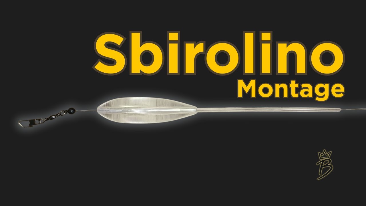 So bindest eine Sbirolino Montage - Wirbel und Vorfachlänge erklärt