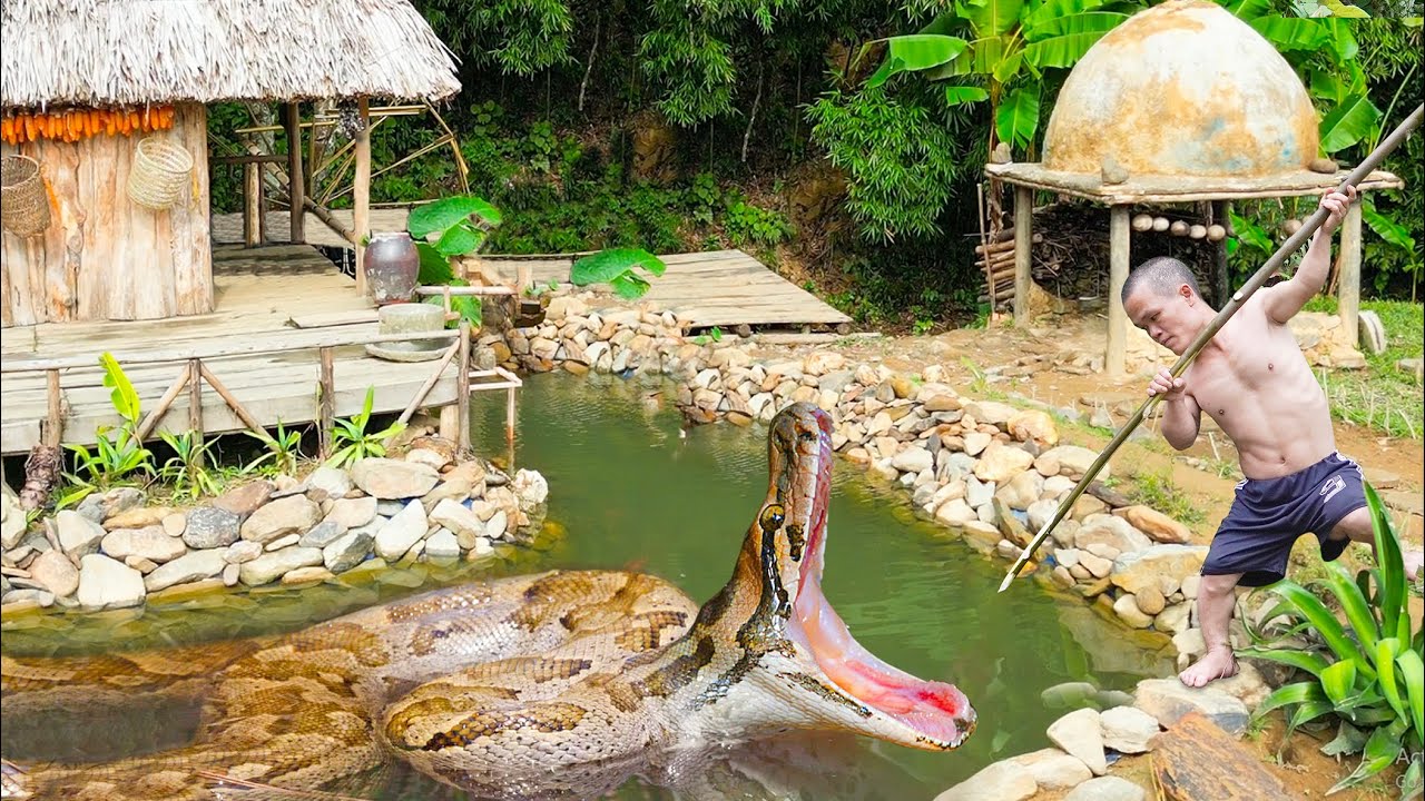 Full Video: Dwarf family attack by giant python - Go child to hospital & had goat stolen by bad guy