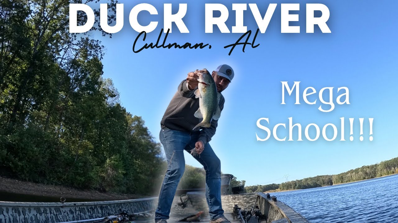 BASS FISHING DUCK RIVER, AL- INSANE FALL BITE!