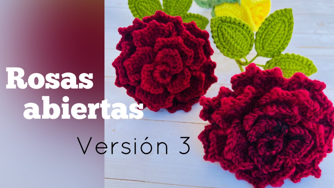Rosas abiertas-VERSIÓN 3