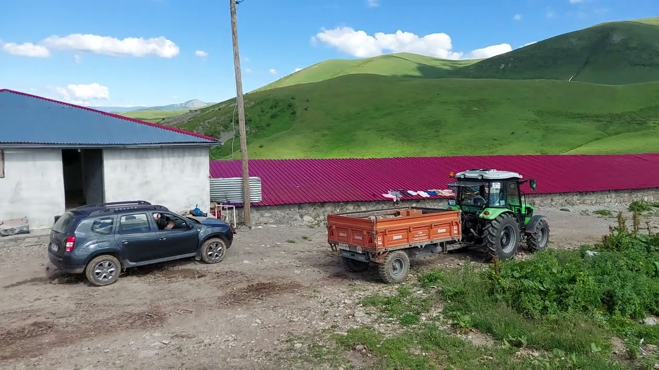 Posof urema yaylası Gürcistan sınırında 4 Temmuz 2023
