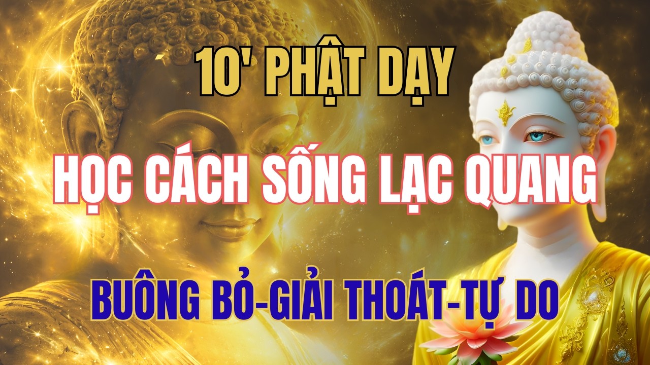 NHỮNG CÂU CHUYỆN PHẬT GIÁO BAN ĐÊM,BUÔNG, BỎ MUỘN PHIỀN HỌC CÁCH SỐNG NỘI TÂM