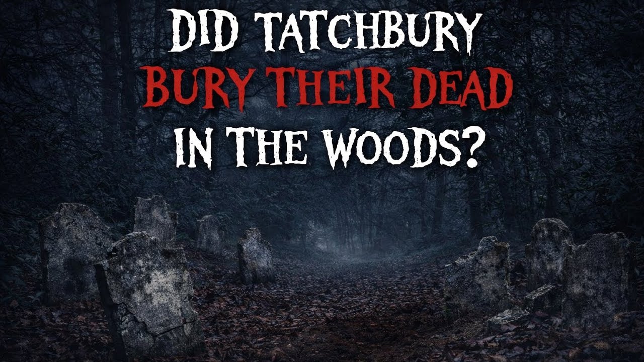 This Woodland at Tatchbury may hide a Dark Truth