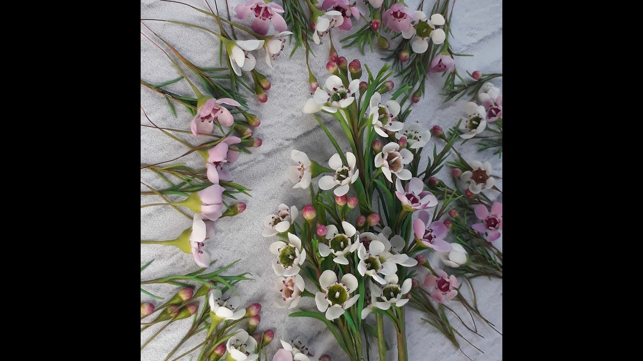 Soğuk Porselen çiçek yapımı (Cold porcelain Chamelaucium)  [BÖLÜM 1]