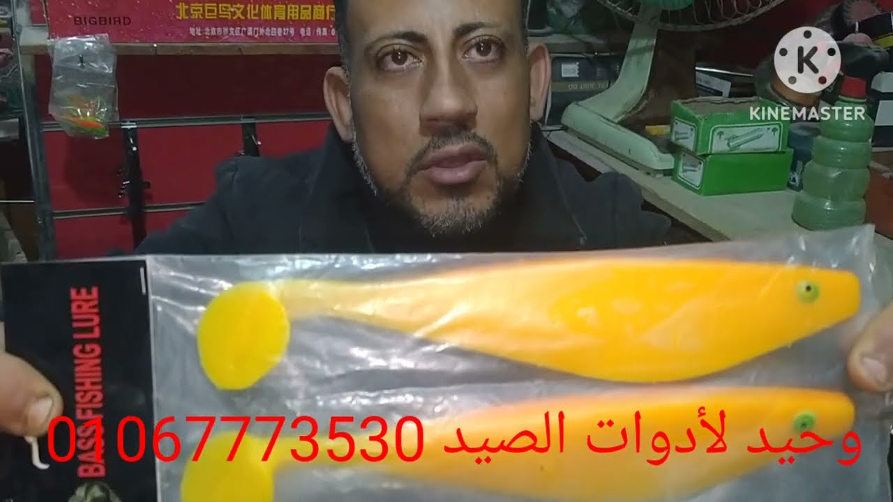 سمك جلى فيش لعشاق مفيض توشكى والبحر الأحمر عمره 25سنه محلات وحيد لادوات الصيد  01067773530