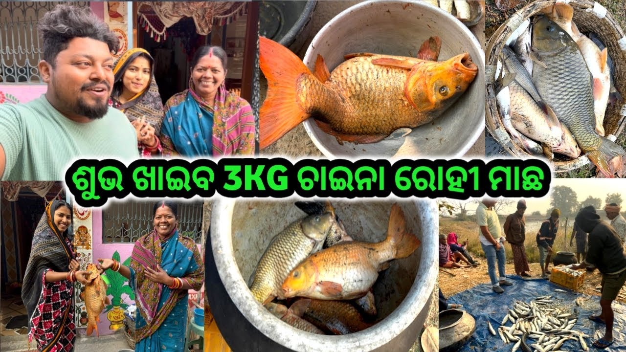 ଘରକୁ ଆସିଲା 3 KG ର ଚାଇନା ରୋହି ମାଛ//ଘରେ ସମସ୍ତେ ଦେଖିକି କଣ କହିଲେ #shortsvideo @PinuVlogsOfficial 