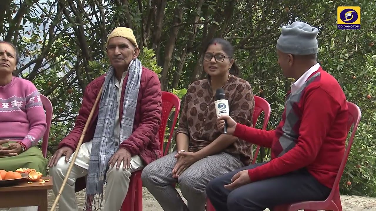 Farmers Efforts & Success in Mandarin Orange Cultivation
