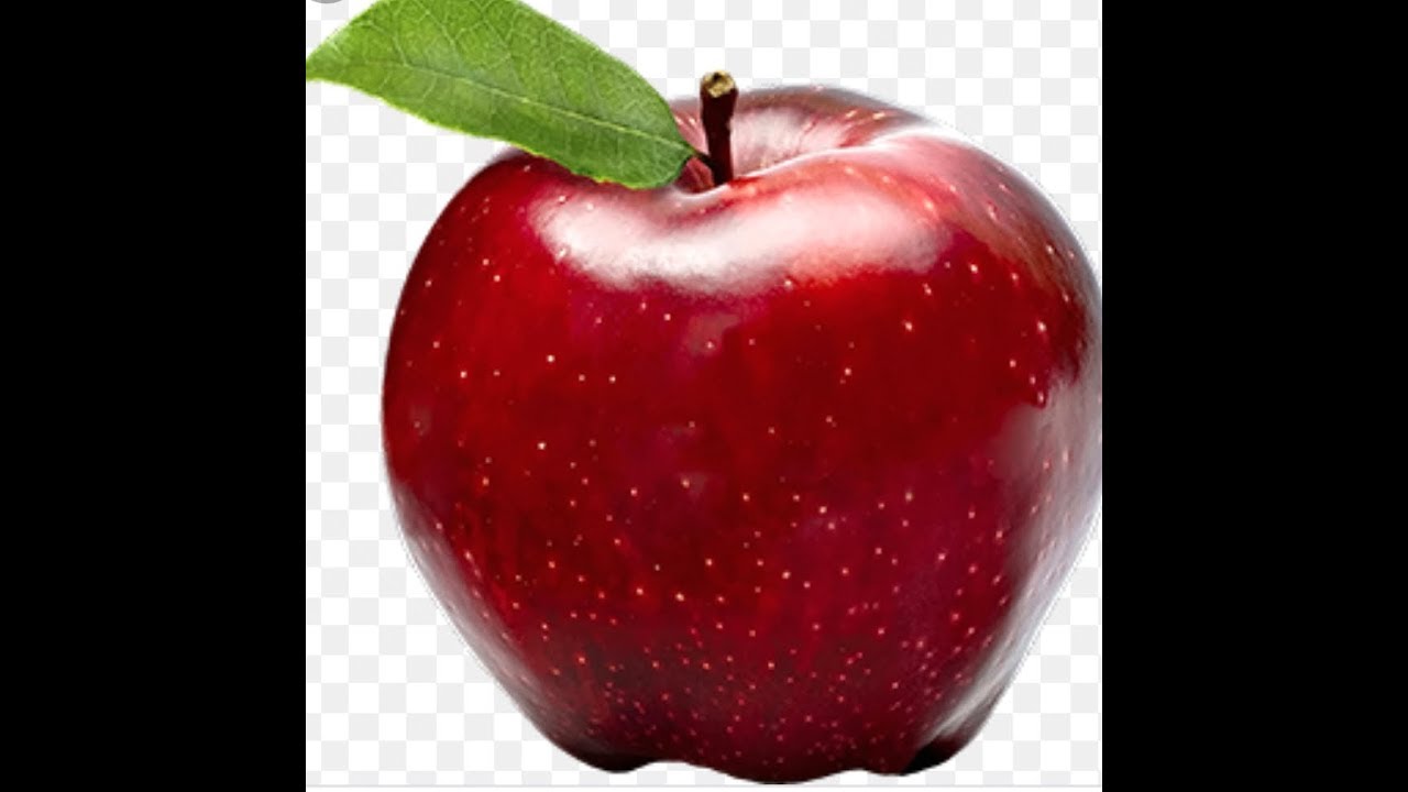 JRF -apple  cultivation important point