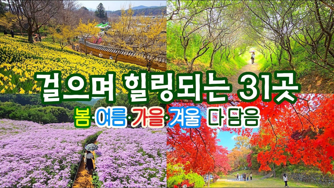 봄 여름 가을 겨울 국내 여행지 추천 영상｜쇼츠처럼 보는 31곳 | 31 Korea Travel Spots