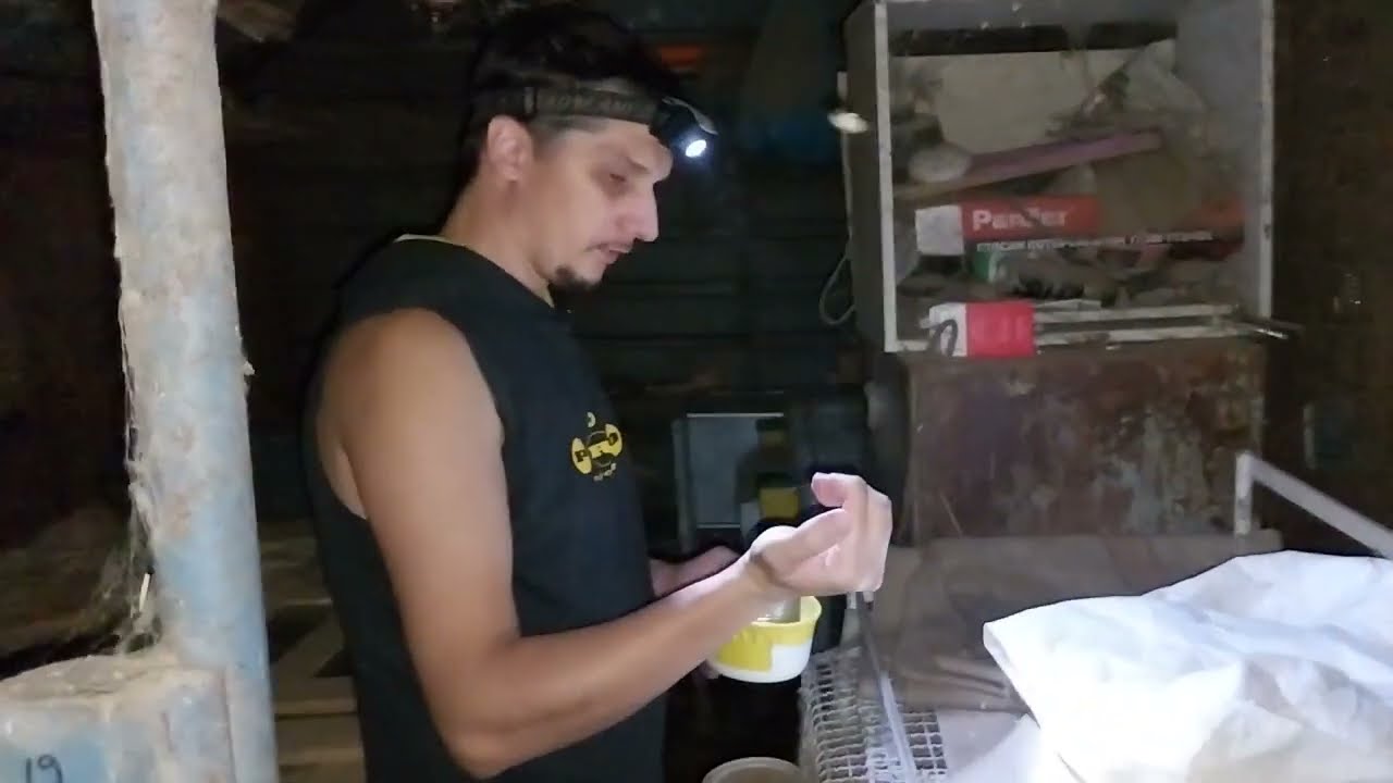 CE ANIMALE SALBATICE ATACA IEPURII LUI ARIEL SI CUM SE APARA DE ELE