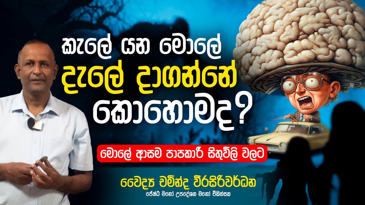 කැලේ යන මොලේ දැලේ දාගන්නේ කොහොමද ? | Dr Chaminda Weerasiriwardane