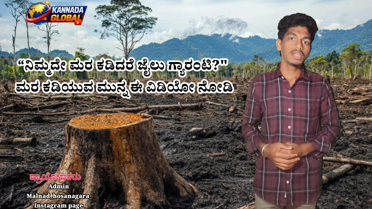 ನಿಮ್ಮ ಜಮೀನಿನ ಮರ ಕಡಿಯುವ ಮುನ್ನ ಈ ತಪ್ಪು ಮಾಡಬೇಡಿ! | Forest Rules 2026 #kannadaglobal 