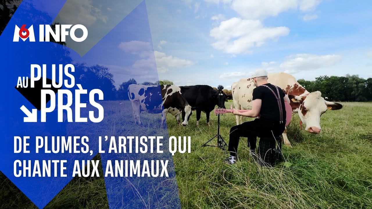 Plumes, un chanteur qui va au plus près des animaux