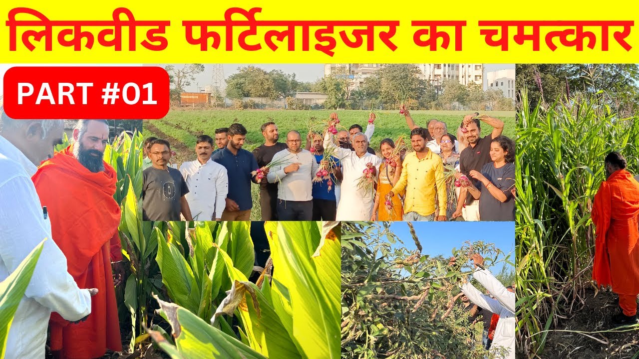 PART#01 - Miracle of Liquid Fertilizer - Anaerobic Bag