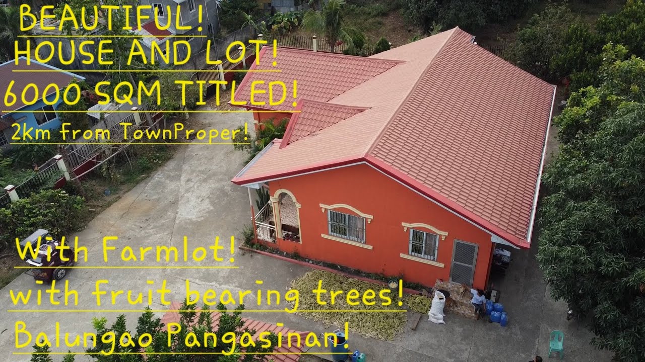 #vlog #679 BEAUTIFUL HOUSE W/FRUIT BEARING  TREES AND FARMLOT 6000 SQM TITLED !