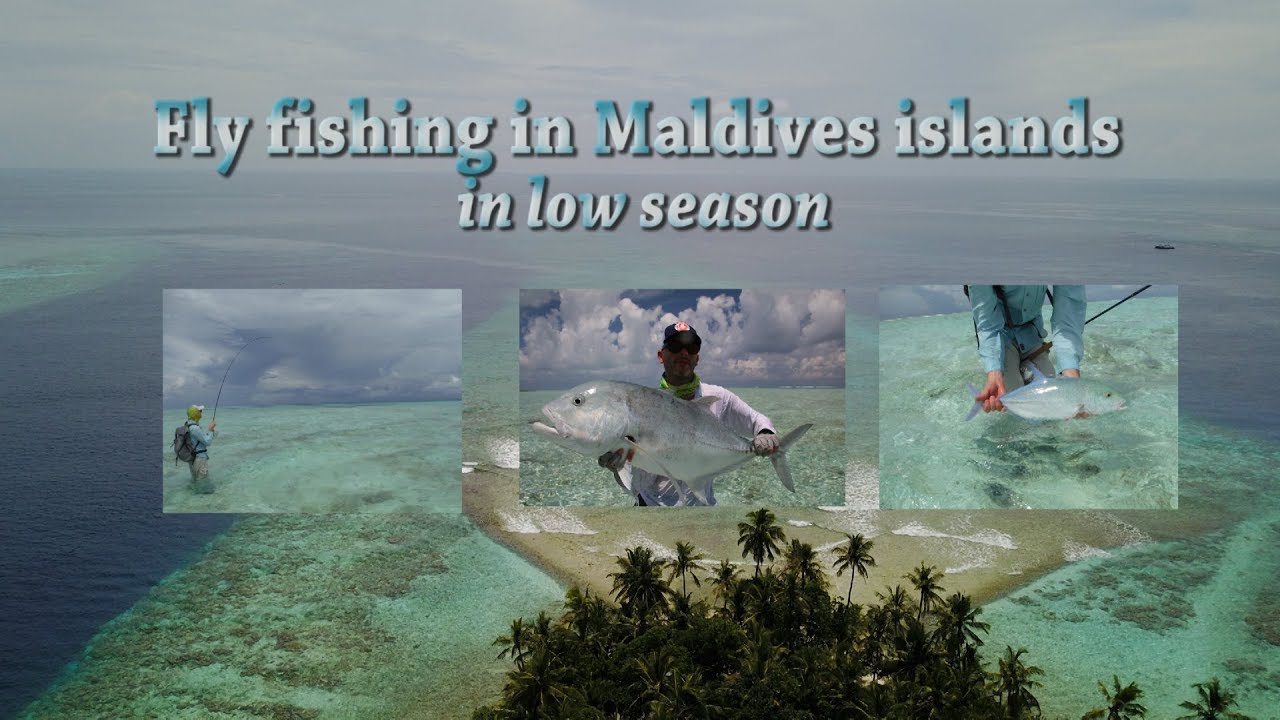 Pesca a mosca alle isole Maldive in bassa stagione Gt Giant Trevally Bluefin Viaggio Economico Pipam