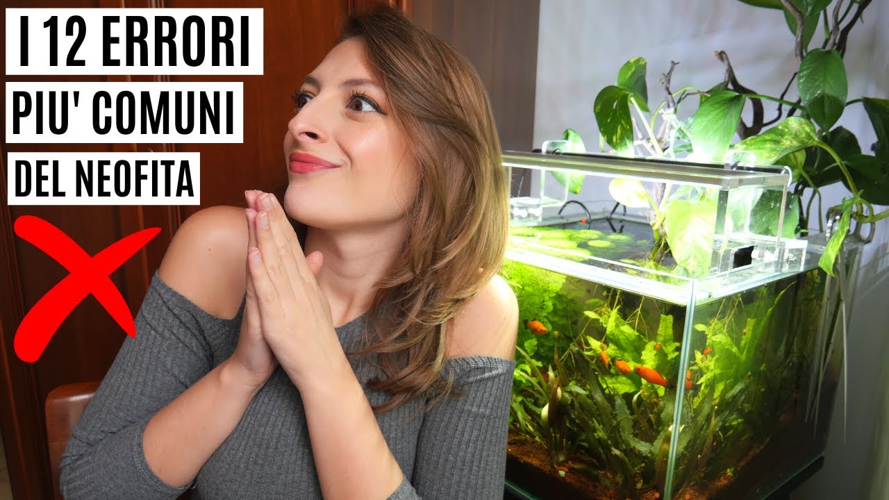 I 12 ERRORI PIU' COMUNI DEL NEOFITA ACQUARIOFILO 💦