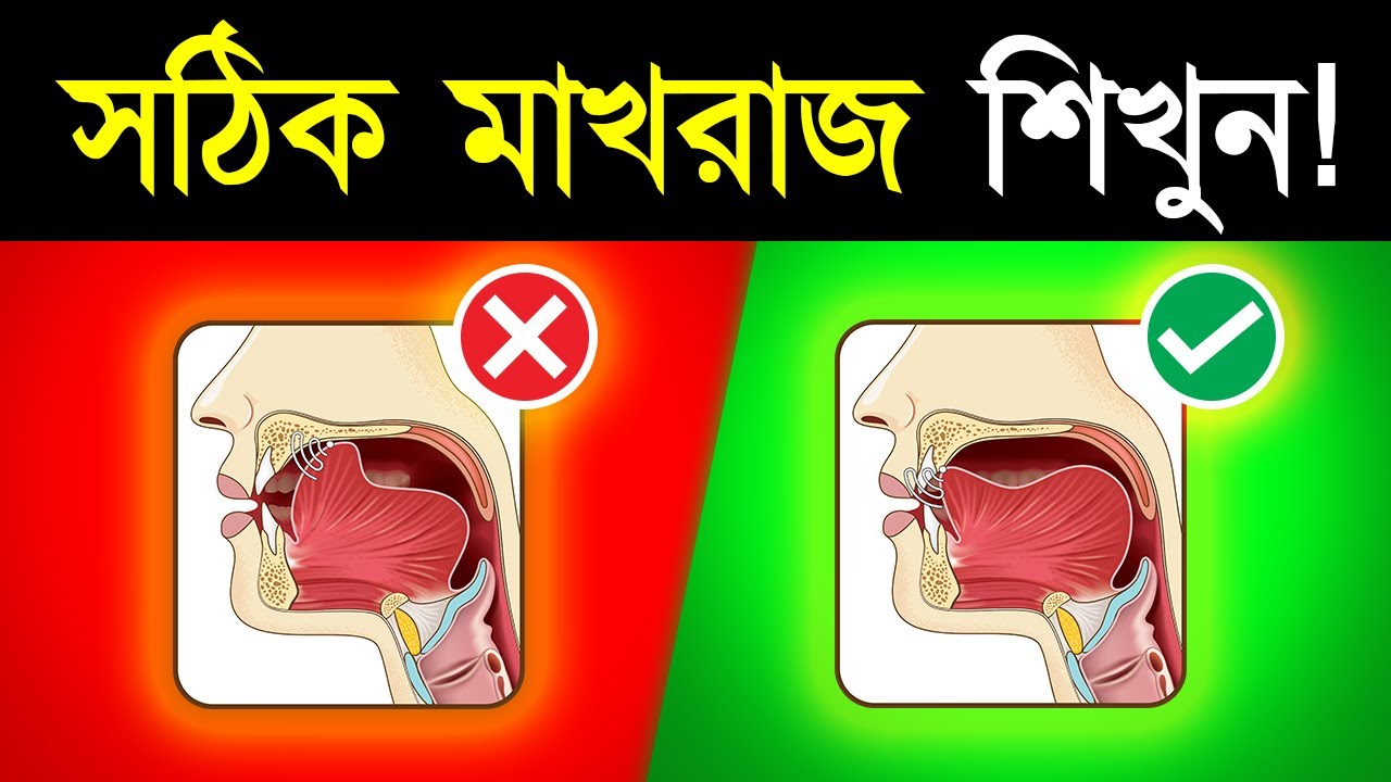 আরবী হরফের মাখরাজ | কোথা থেকে কোন হরফ উচ্চারিত হয়? । বেসিক তাজউইদ কোর্স । ক্লাস ১