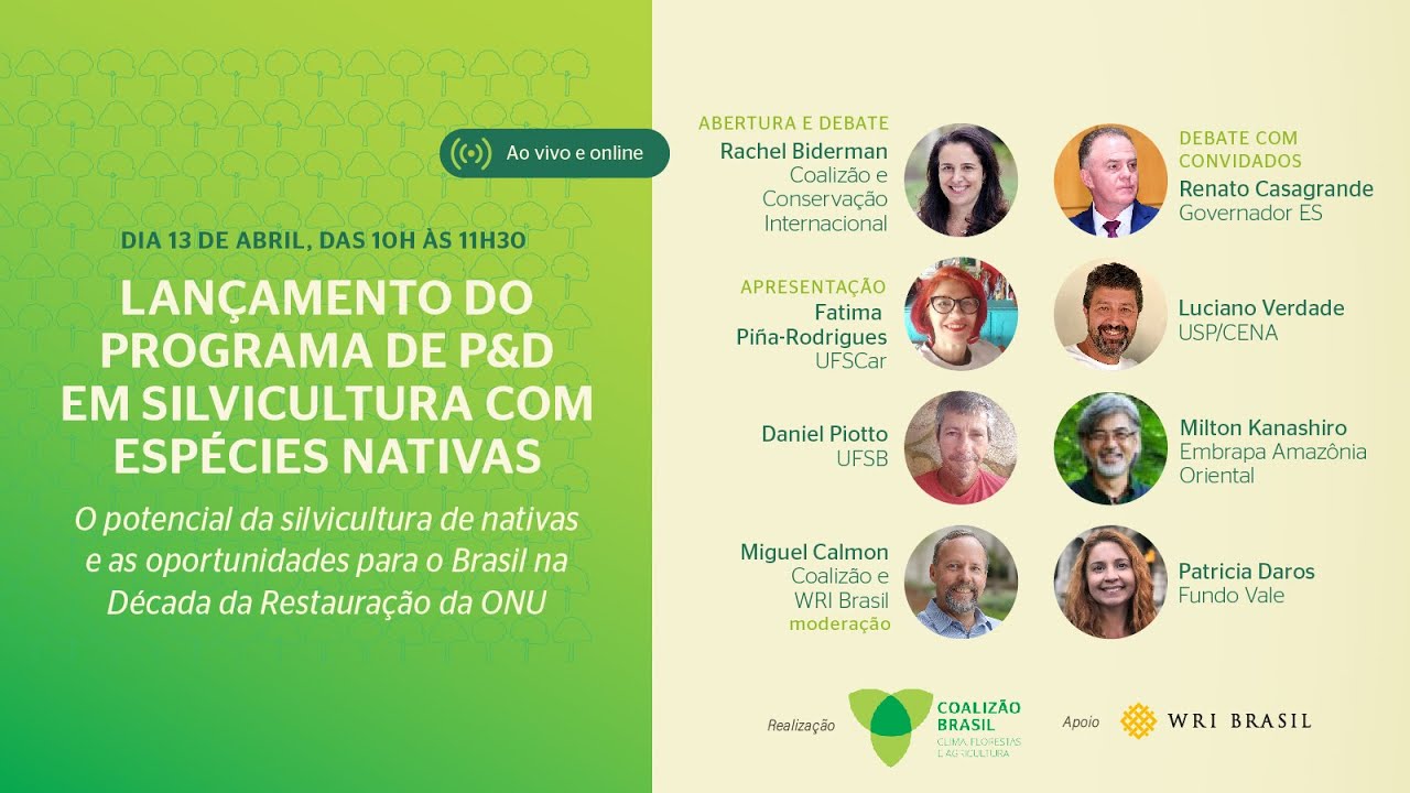 Lançamento do Programa P&D em Silvicultura com Espécies Nativas