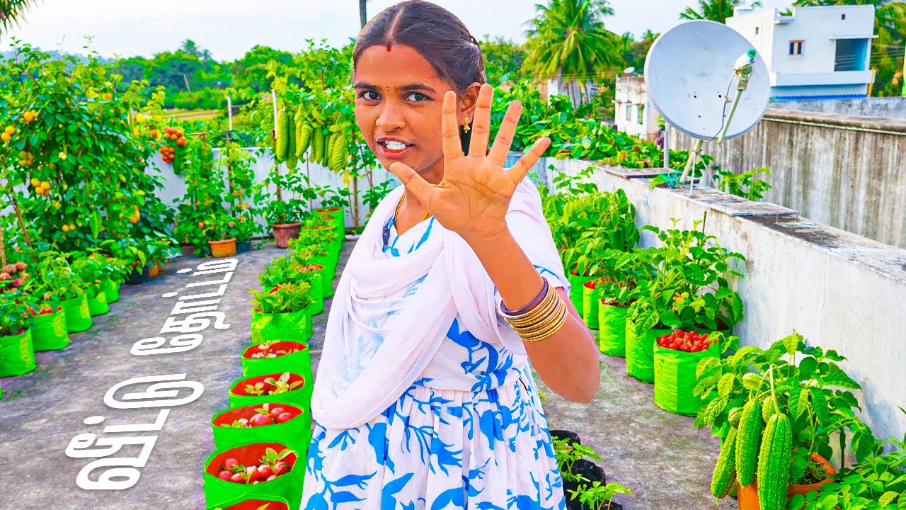 my dream tour | இனி வீடு சொர்க்கம் போல இருக்கு 🏡 || SHEisME Vlog