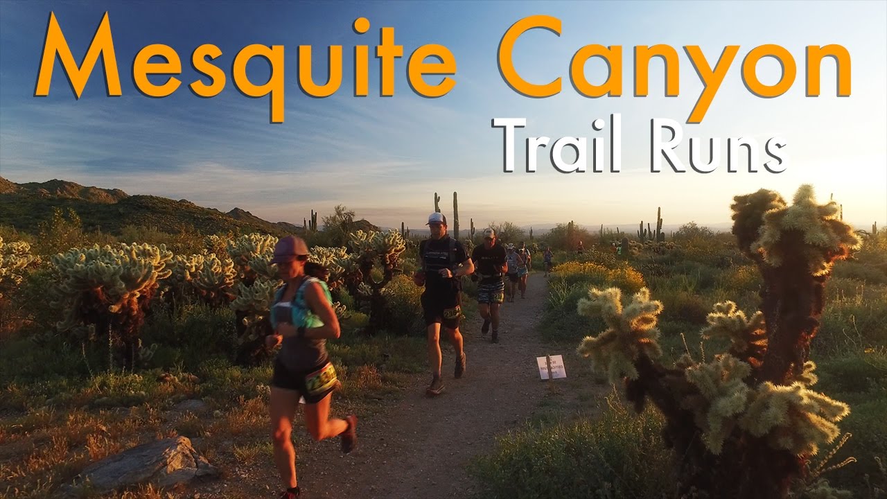 Mesquite Canyon 2017 - Aravaipa Running
