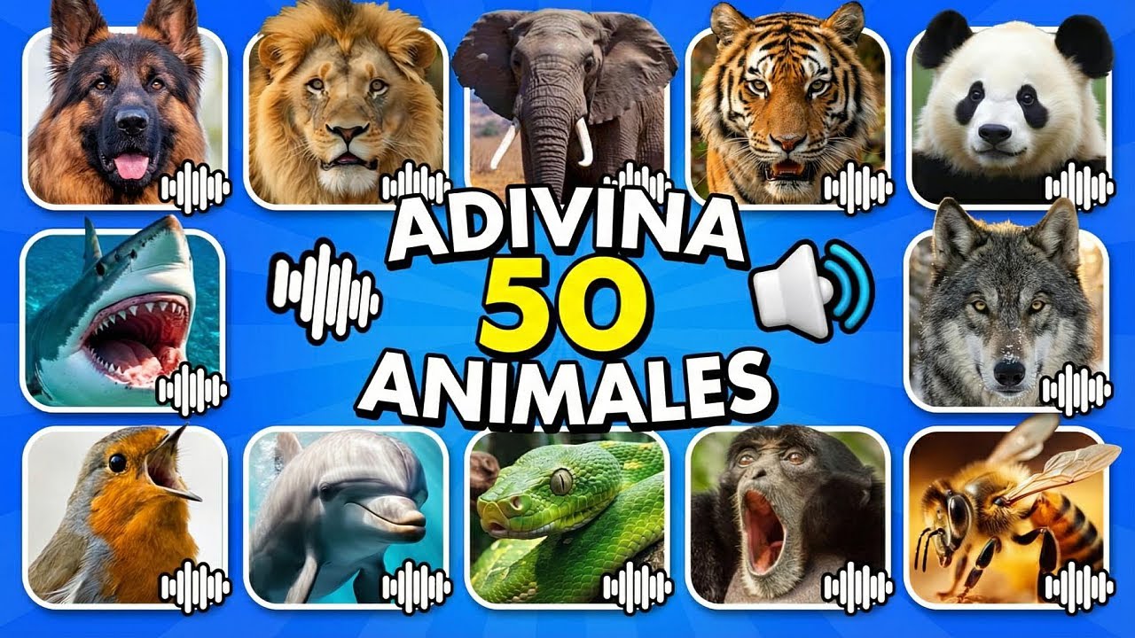 Adivina 50 animales por su sonido 🔊🦁🐼 | Quiz de sonidos de animales