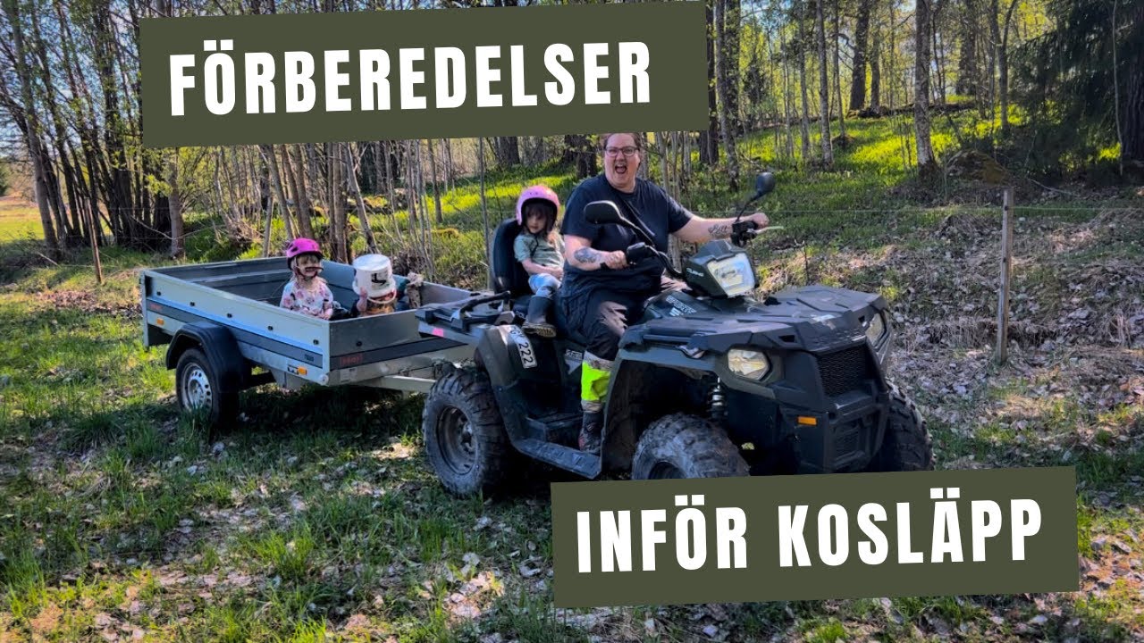 Förberedelser inför kosläppet , Särbo med Dennis och ett ”lyx problem” som ska lösas 🤔