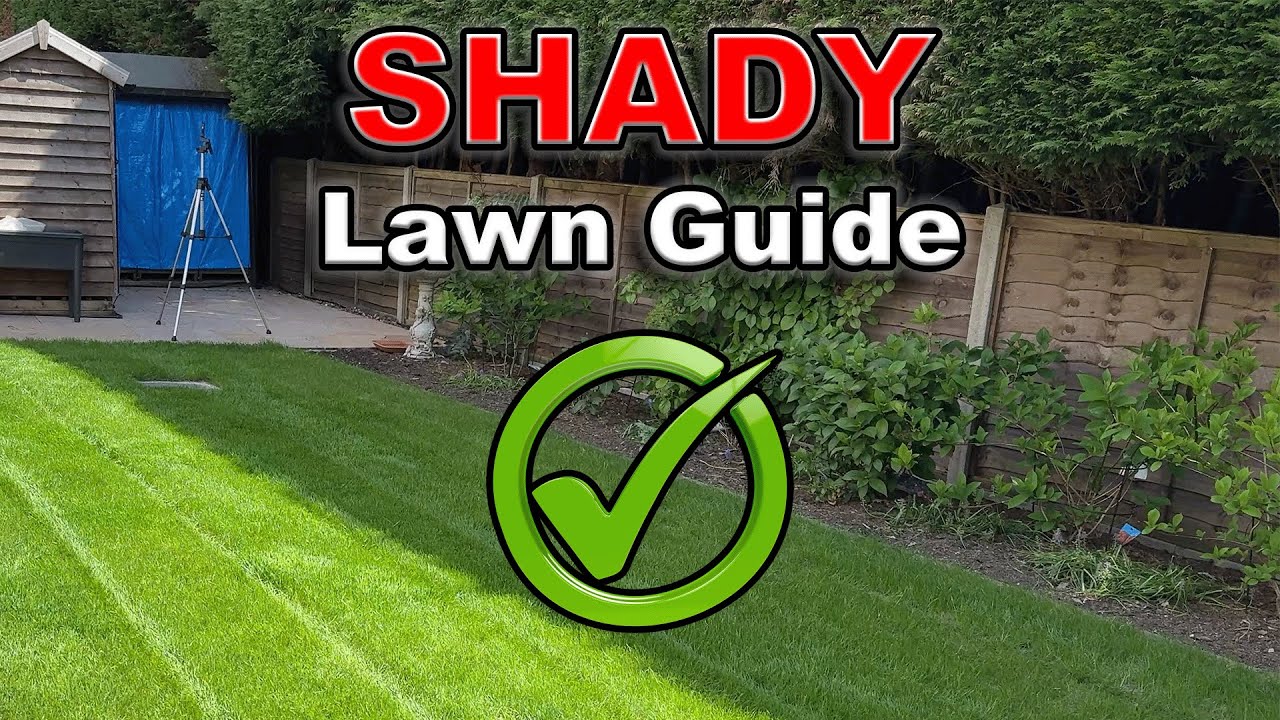 Growing Grass In The SHADE // The EASY Method for a PERFECT SHADY LAWN!