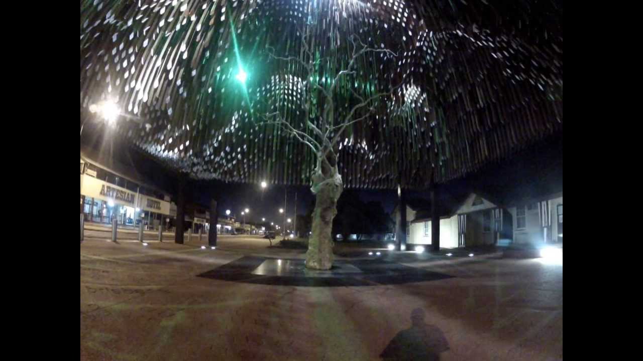 Barcaldine Tree of Knowledge