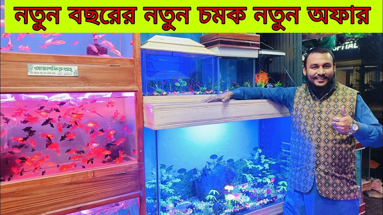 Aquarium Fish Price In katabon 2025|🐠🐠 Aquarium Fish Price | Aquarium | AR Rahman aquarium🐠🐠
