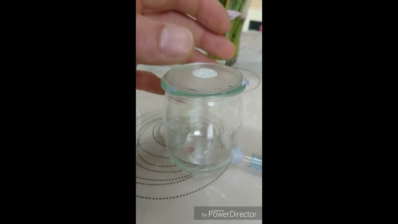 Mini adc pas cher pour début de colonie.
