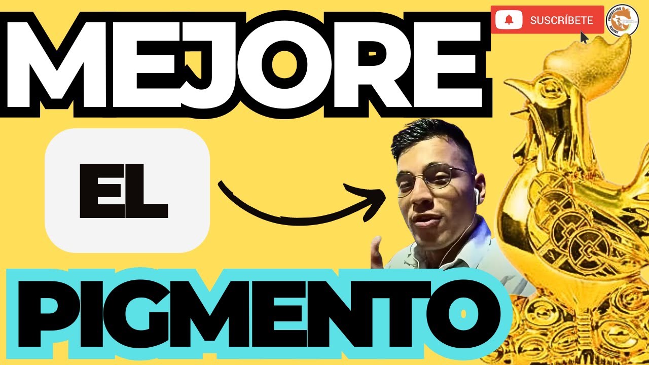 😁 Como OBTENER POLLOS de ENGORDE Más AMARILLOS utilizando este ingrediente 💪