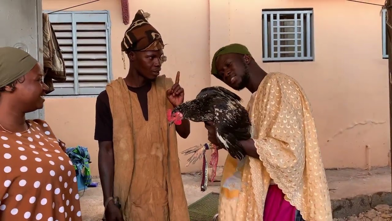 djeliba le voleur de poulet