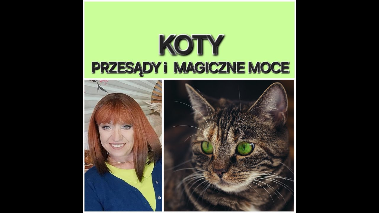 KOTY - Przesądy i Magiczne Moce.