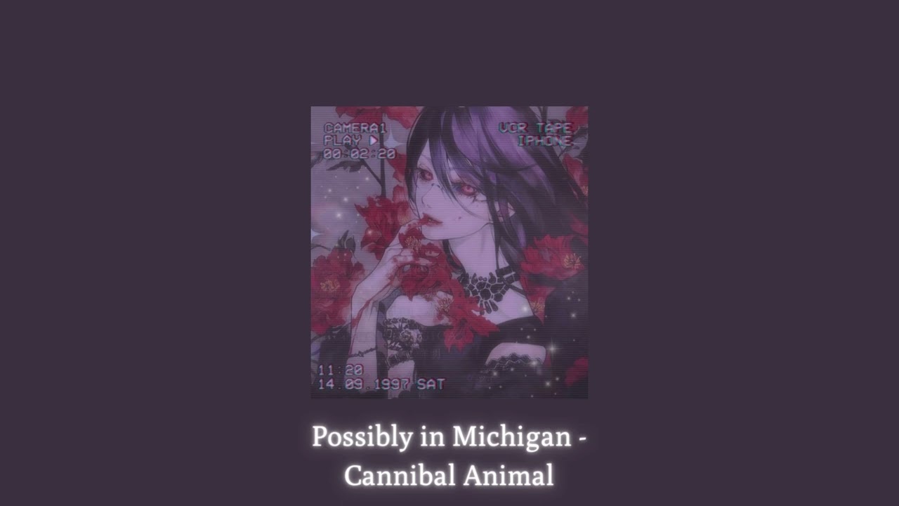 Cannibal Animal (slowed and reverb)