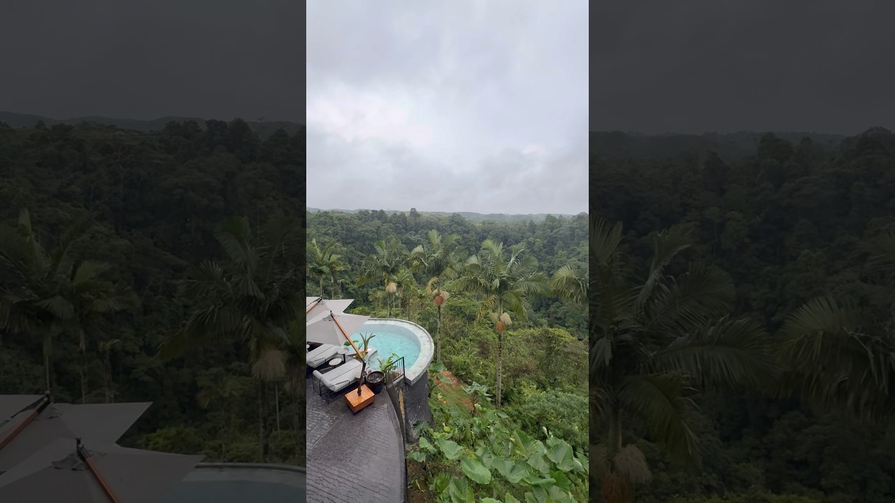 Barbas Bremen, Colombia 