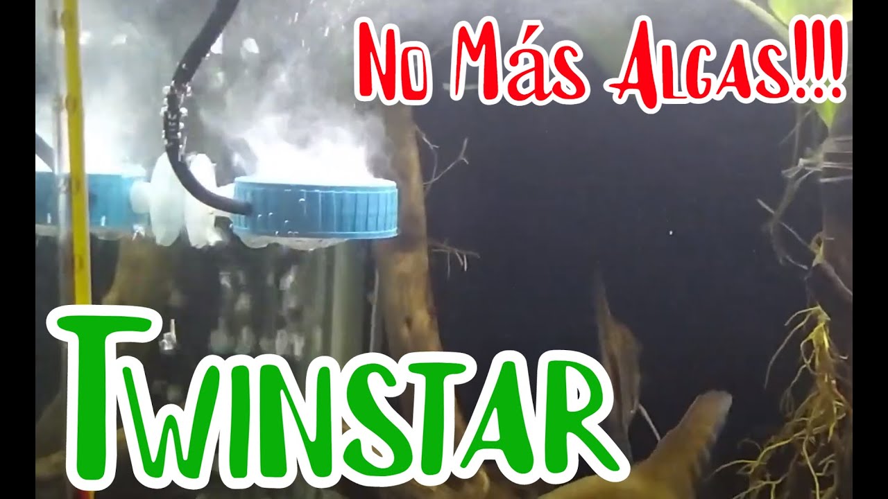 Como hacer un twinstar casero para acuario plantado  Fácil y rapido