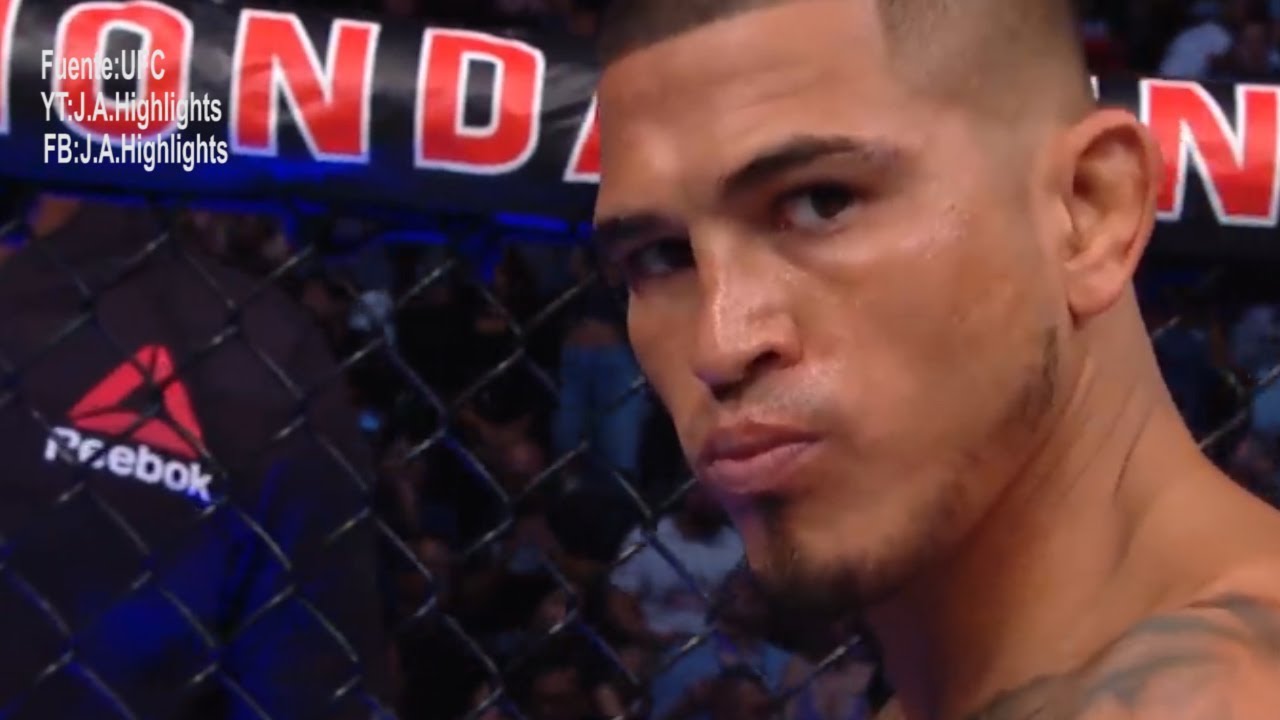 MMA Highlights 2019 - Best Of Fights UFC