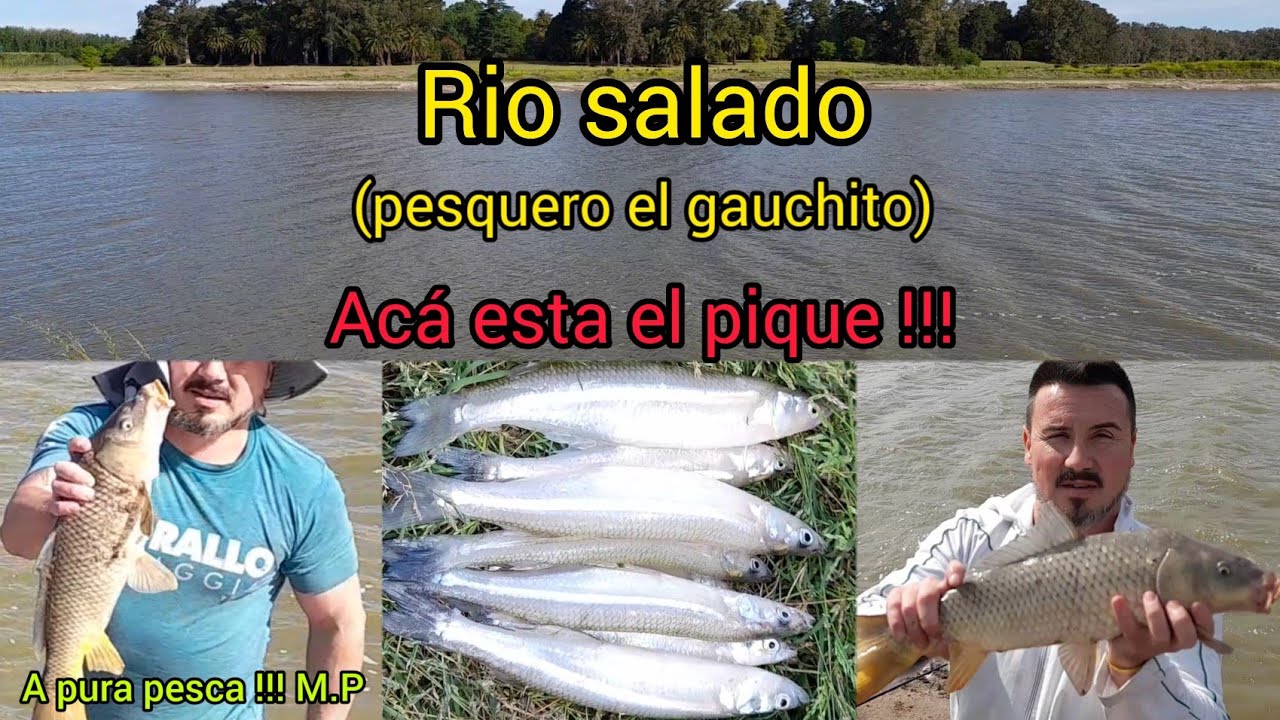 PESCA a full !!! en rio salado (pesquero el gauchito) a puro pique!