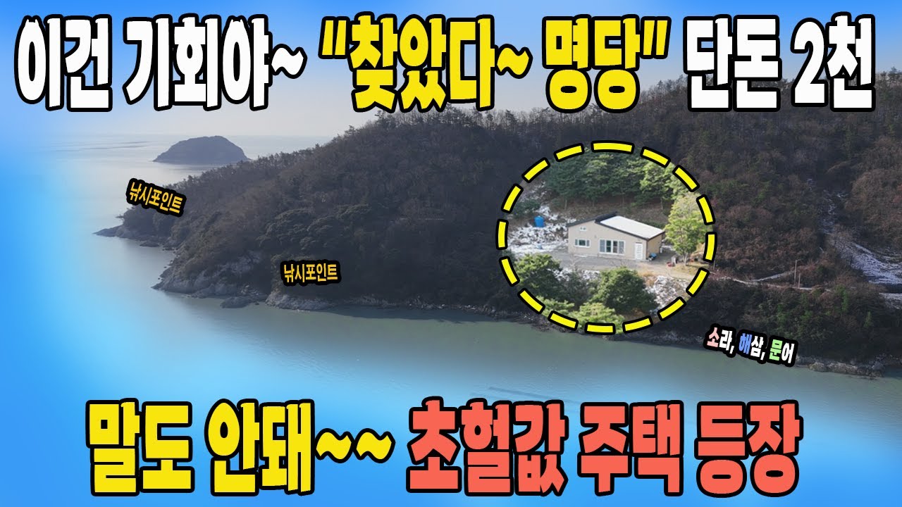 [속보] 초헐값~ 주택 매매. 바다와 딱 붙은 주택은 공짜로 가져가세요~ 온통 낚시 포인트! 풍수가도 울고 갈 명당 위치. 몸만 오세요~
