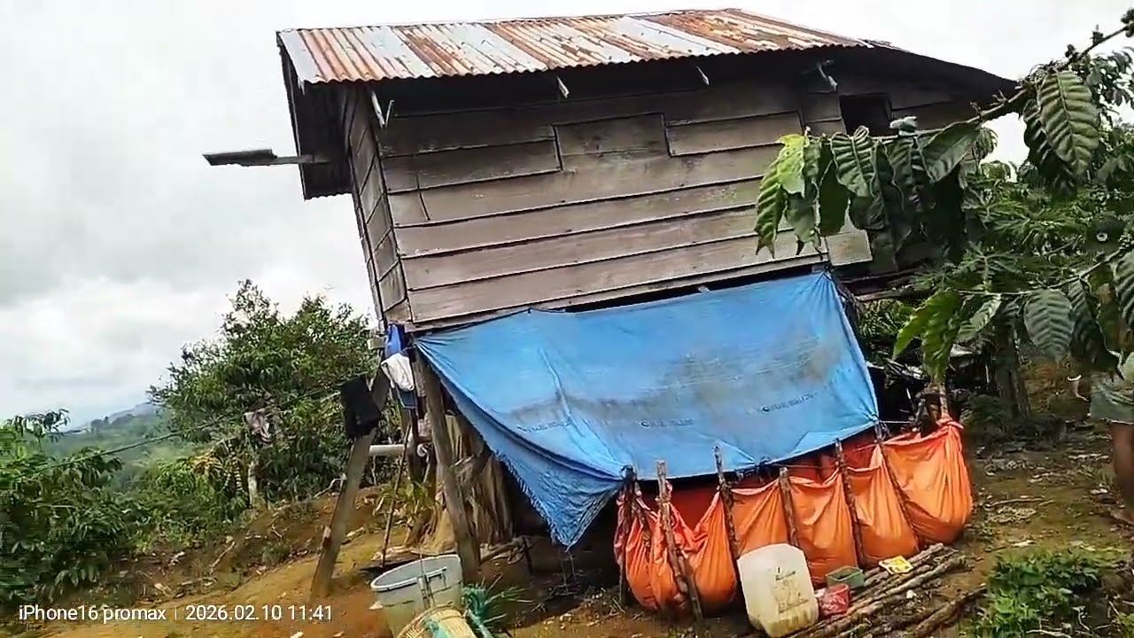 Indah serta nyaman nginep di kebun@Robustachannel #Robusta 