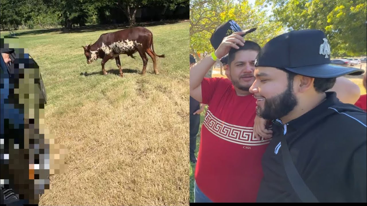 ME COMPRO ESTE DEPORTIVO V8 SS😱🔥// Mis amigos calan mi carro y un toro lo cornea😣🐂