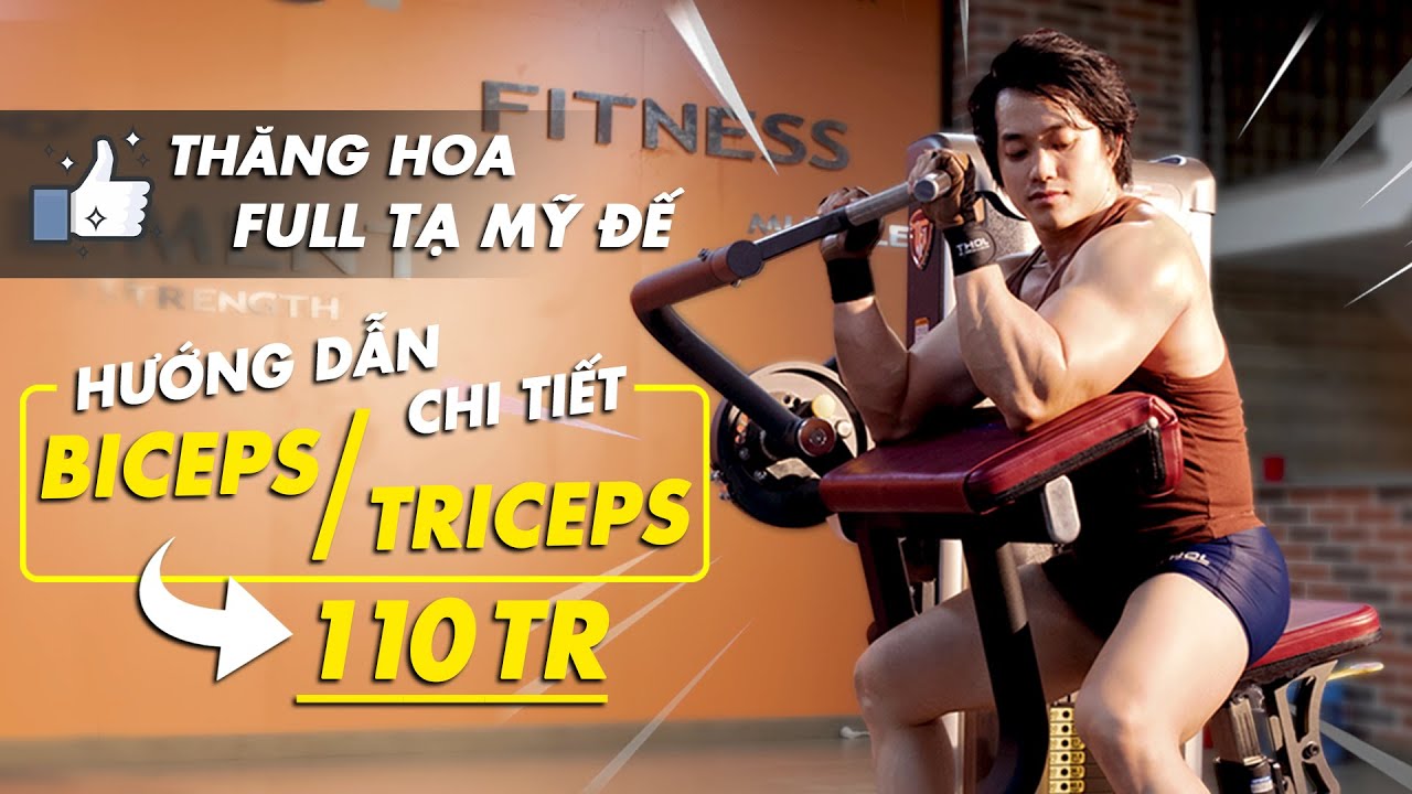 Superset Triceps/Biceps - Hướng Dẫn Tập Gym Tay To Nét Với Máy Mỹ Đế THOL