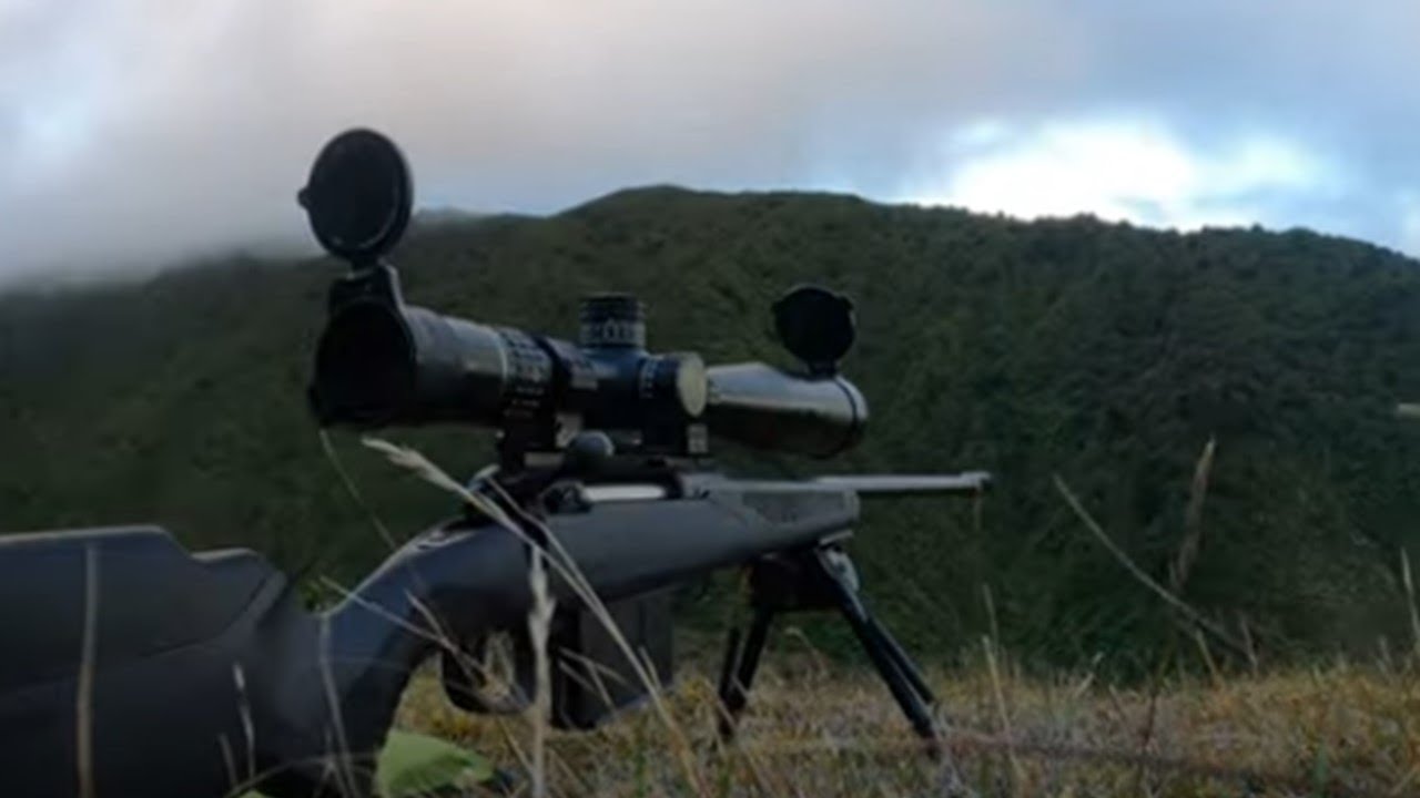 338 Hunting: Pre roar recon Tararua Ranges - Hindered by kit breakage