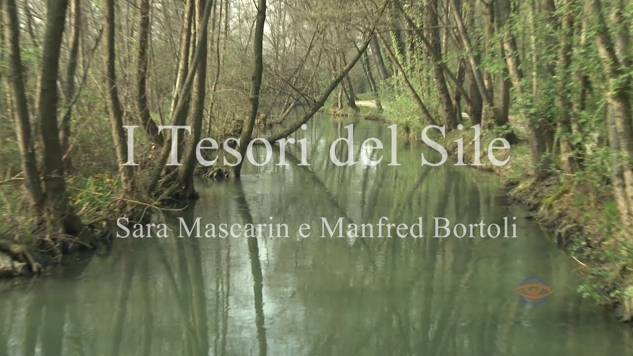 I tesori del Sile