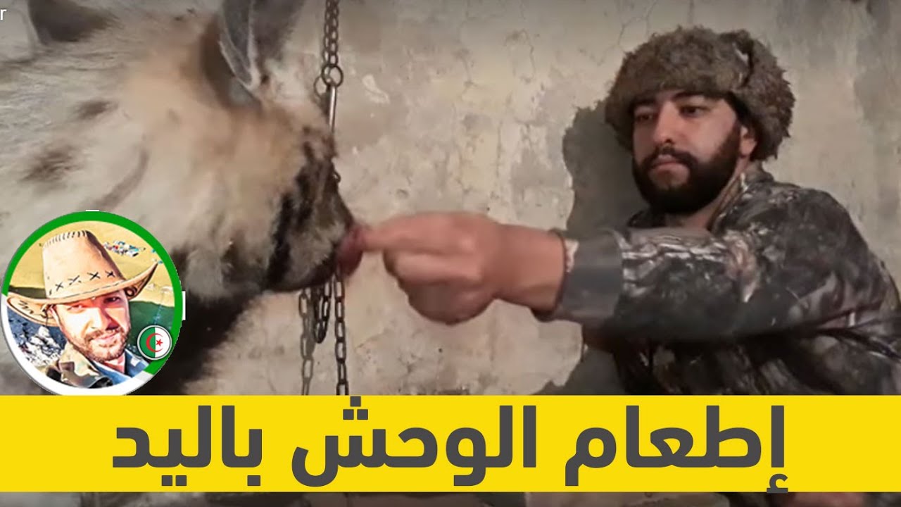 إسلام العنقاوي   Islam Ankaoui   إطعام الوحش