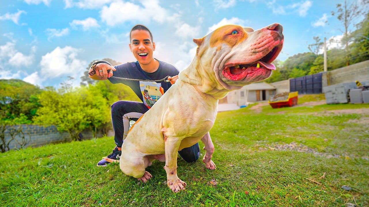 ESCOLHENDO MEU NOVO CACHORRO DA CASA HUNTERS !