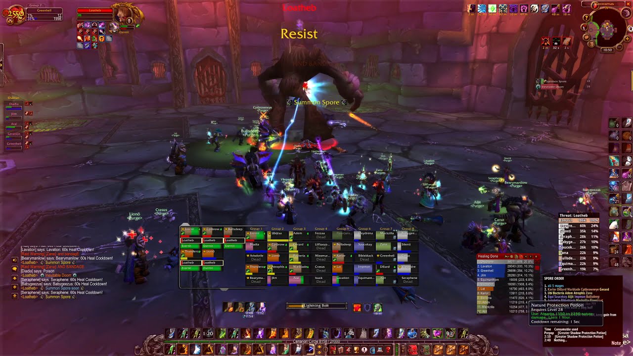 WoW Classic: Loatheb - Naxxramas. Healer rotation.
