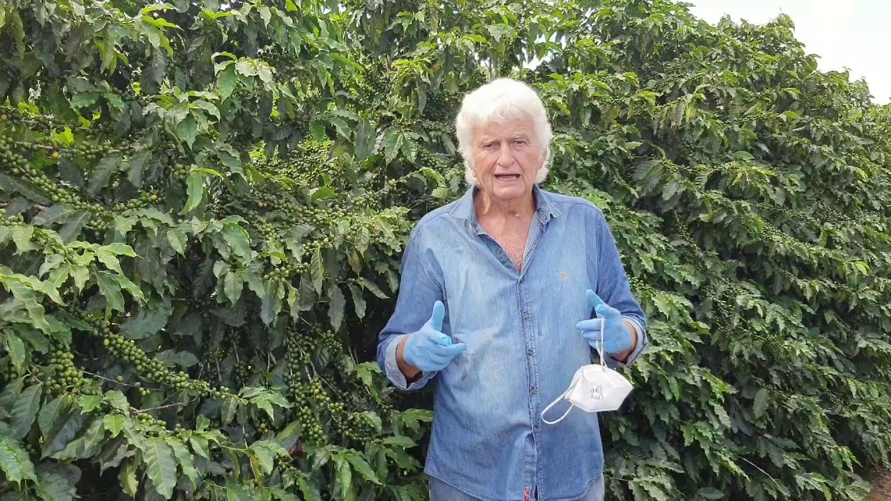 Recomendações de Santinato, R. para a Fase de Granação do Cafeeiro. Nutrição, Irrigação e etc.