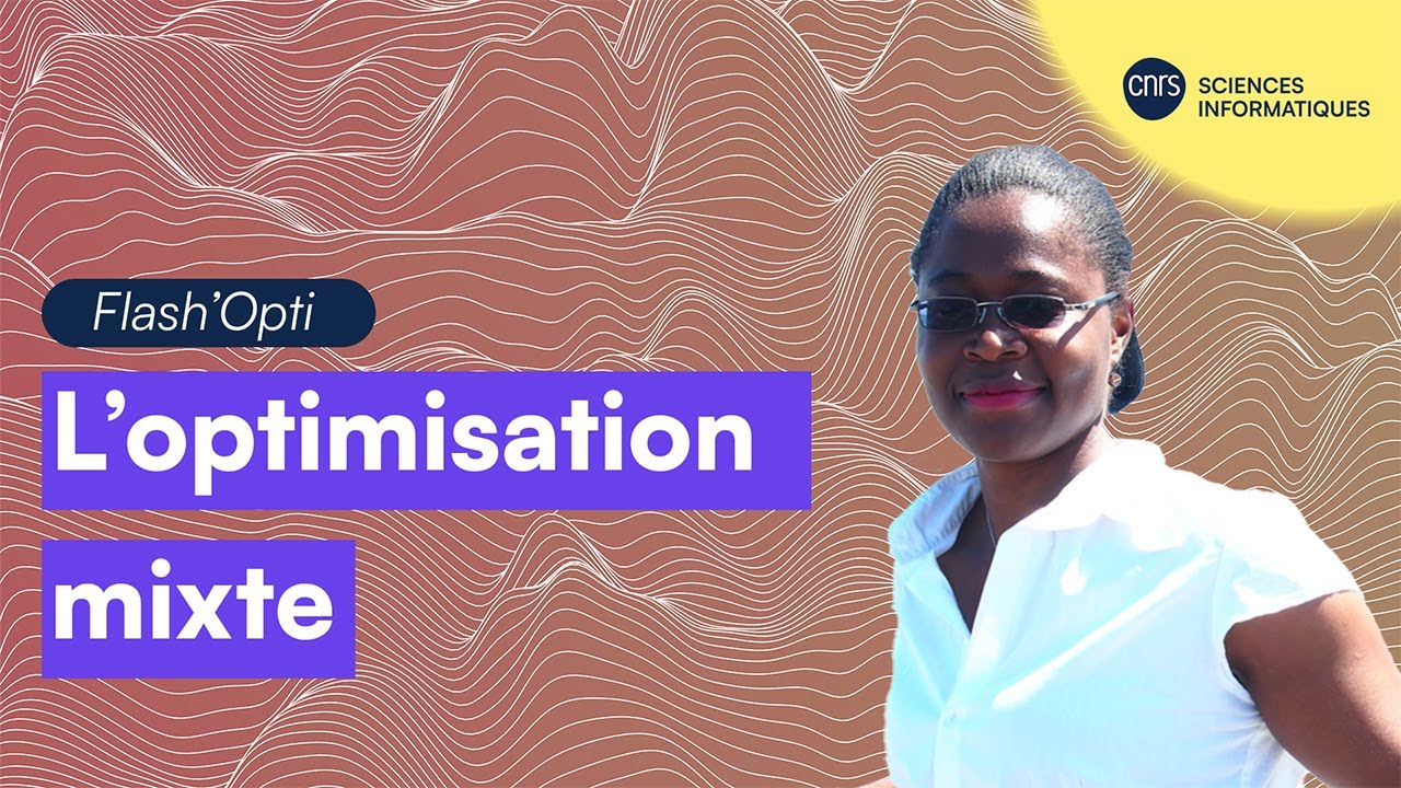 L'optimisation mixte avec Sandra Ngueveu | Flash'Opti